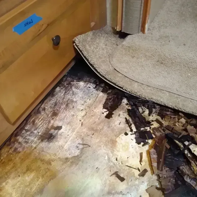 Wood Floor Water Damage in Malta, IL